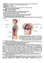Summaries, Notes 'Anatomija, fizioloģija', 2.
