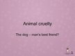 Presentations 'Cruelty to Animals', 1.