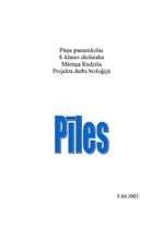 Research Papers 'Pīles', 1.