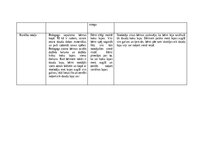 Practice Reports 'Pētnieciskās prakses materiāli', 32.