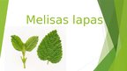 Presentations 'Melisas lapas', 1.