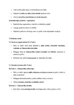 Essays 'Ziemassvētku pasākums pirmsskolā: radošuma, sociālo un emocionālo prasmju veicin', 2.