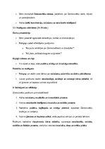 Essays 'Ziemassvētku pasākums pirmsskolā: radošuma, sociālo un emocionālo prasmju veicin', 4.