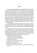 Term Papers 'Optisko sazarotāju darbības principi un veidi', 7.