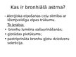 Presentations 'Bronhiālās astmas ārstēšana un rehabilitācija', 3.