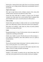 Summaries, Notes 'Inese Zandere', 16.
