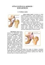 Research Papers 'Gūžas locītavas artroze - koksartroze', 1.