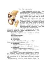 Research Papers 'Gūžas locītavas artroze - koksartroze', 2.