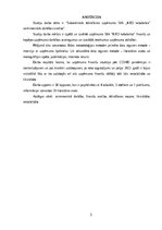 Research Papers 'Sabiedriskās ēdināšanas uzņēmuma SIA „KRO kebabnīca” saimnieciskās darbības anal', 3.