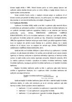 Research Papers 'Sabiedriskās ēdināšanas uzņēmuma SIA „KRO kebabnīca” saimnieciskās darbības anal', 16.