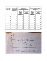 Summaries, Notes 'Mājas darbs mikroekonomikā', 7.