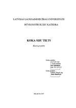Research Papers 'Koka siju tilts', 1.