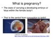 Presentations 'Foetal Development', 2.