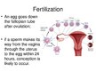 Presentations 'Foetal Development', 4.
