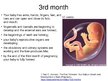 Presentations 'Foetal Development', 10.