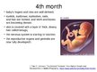 Presentations 'Foetal Development', 12.