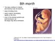 Presentations 'Foetal Development', 20.