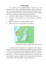 Research Papers 'Uzņēmuma "Liepājas kafija" eskporta plāns uz Zviedriju', 19.
