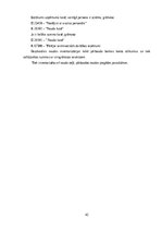 Term Papers 'Naudas līdzekļu uzskaite, kontrole un analīze uzņēmumā "X"', 42.