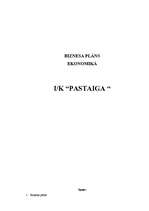 Business Plans 'I/K "Pastaiga"', 17.