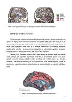 Research Papers 'Emociju regulācijas attīstība un galvas smadzeņu struktūru loma emociju attīstīb', 8.