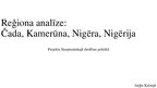 Research Papers 'Āfrikas drošības reģions: Čada, Kamerūna, Nigēra un Nigērija', 28.