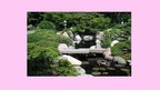 Presentations 'Senās Japānas dārzi un parki', 3.