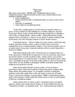 Essays 'Tekstu analīze par grāmatu "Jātnieks un lodes"', 1.