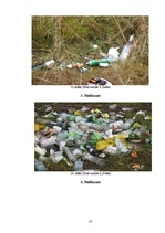 Research Papers 'Sadzīves atkritumu radītais kaitējums', 32.