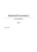 Essays 'Industrial Economics: Mergers', 1.