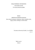 Research Papers 'Sienu elementi (ailstarpas, puskolonnas, pilastri, kontrforsi, nišas, dzegas, po', 1.