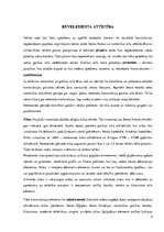 Research Papers 'Sienu elementi (ailstarpas, puskolonnas, pilastri, kontrforsi, nišas, dzegas, po', 4.