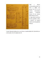 Research Papers 'Sienu elementi (ailstarpas, puskolonnas, pilastri, kontrforsi, nišas, dzegas, po', 20.