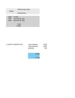 Samples 'Uzņēmuma budžeta sagatavošana', 10.