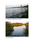 Research Papers 'Liepājas ezera ekoloģiskā stāvokļa novērtējums pēc fitoplanktona ', 10.