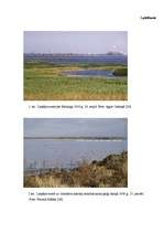 Research Papers 'Liepājas ezera ekoloģiskā stāvokļa novērtējums pēc fitoplanktona', 25.