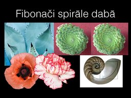Presentations 'Fibonači skaitļi', 4.