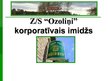 Presentations 'Z/s "Ozoliņi" mājas vīna "Dzidris" korporatīvais tēls', 1.