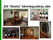 Presentations 'Z/s "Ozoliņi" mājas vīna "Dzidris" korporatīvais tēls', 4.