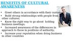 Presentations 'Cultural Awareness for Business People', 10.