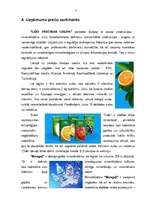 Research Papers 'SIA "Cido pārtikas grupa"', 7.