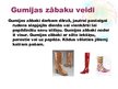 Presentations 'Gumijas zābaki', 3.