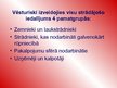 Presentations 'Latvijas darba tirgus problēmas', 5.