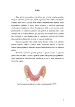 Research Papers 'Bāzu plastmasas, to veidi un pielietojums izņemamo parciālo zobu protēžu ar plas', 4.