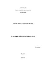 Research Papers 'Tiesību normu piemērošanas process Latvijā', 1.