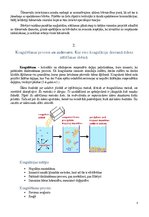 Research Papers 'Ūdens apgāde un kanalizācija', 6.