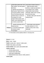 Practice Reports 'Aktīvās mācību audzināšanas prakses dienasgrāmata', 13.
