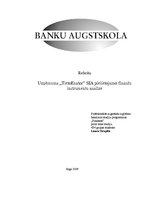 Research Papers 'Uzņēmuma SIA "TietoEnator" pielietojamo finanšu instrumentu analīze', 1.