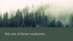 Presentations 'Forests and medicine', 17.