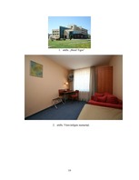 Research Papers 'SIA "Hotel Tigra"', 19.